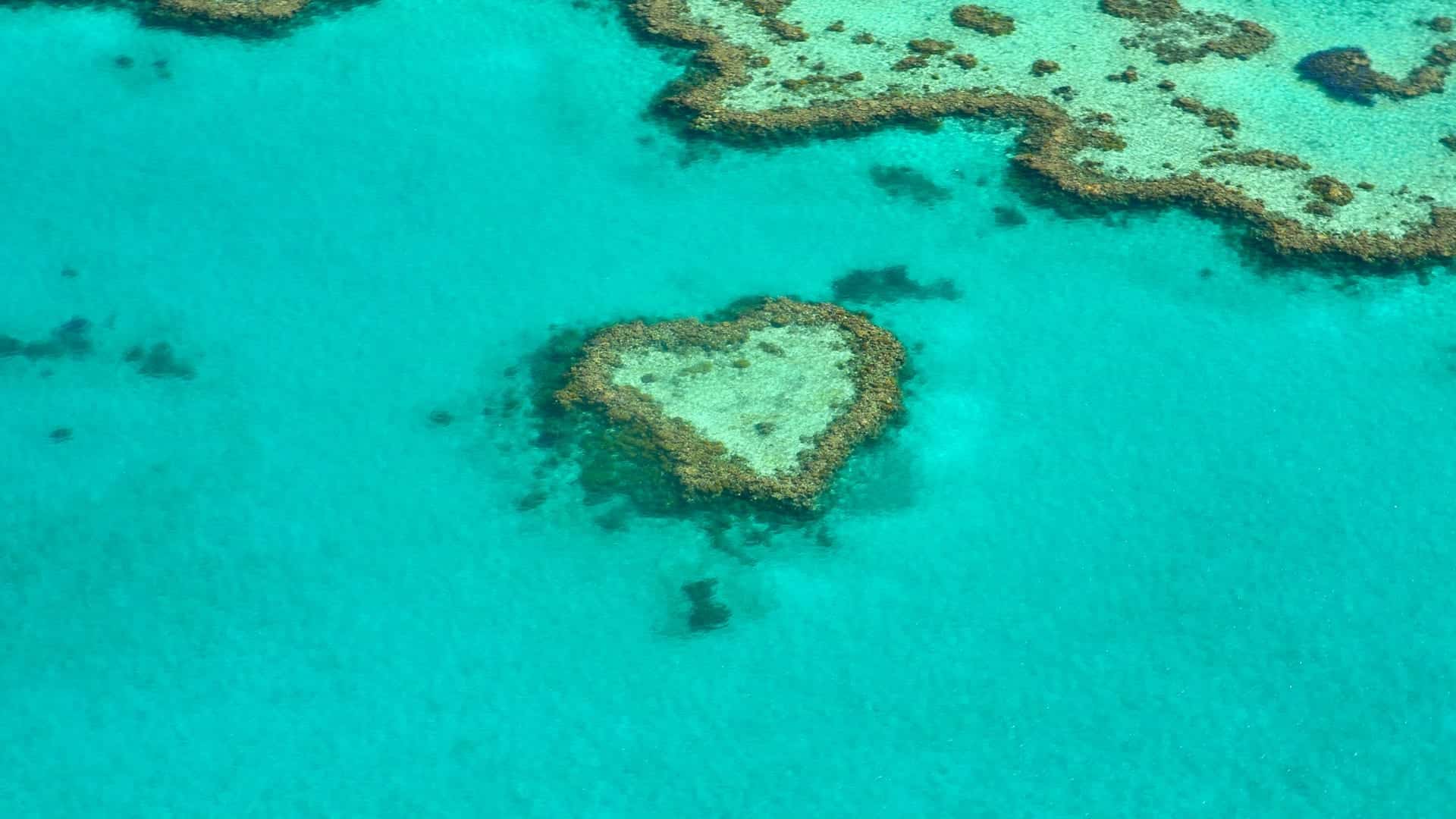 Visit Australia for: The Great Barrier Reef. An aerial image of heart reef.