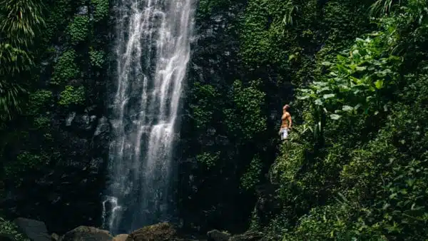 Man looking at Waterfall Daintree Rainforest