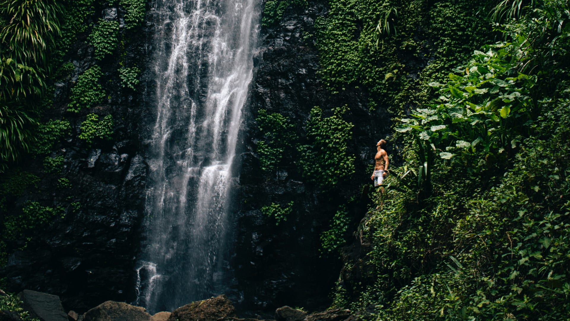Visit Australia for: A man ready to swim near a waterfall in the Daintree Rainforest