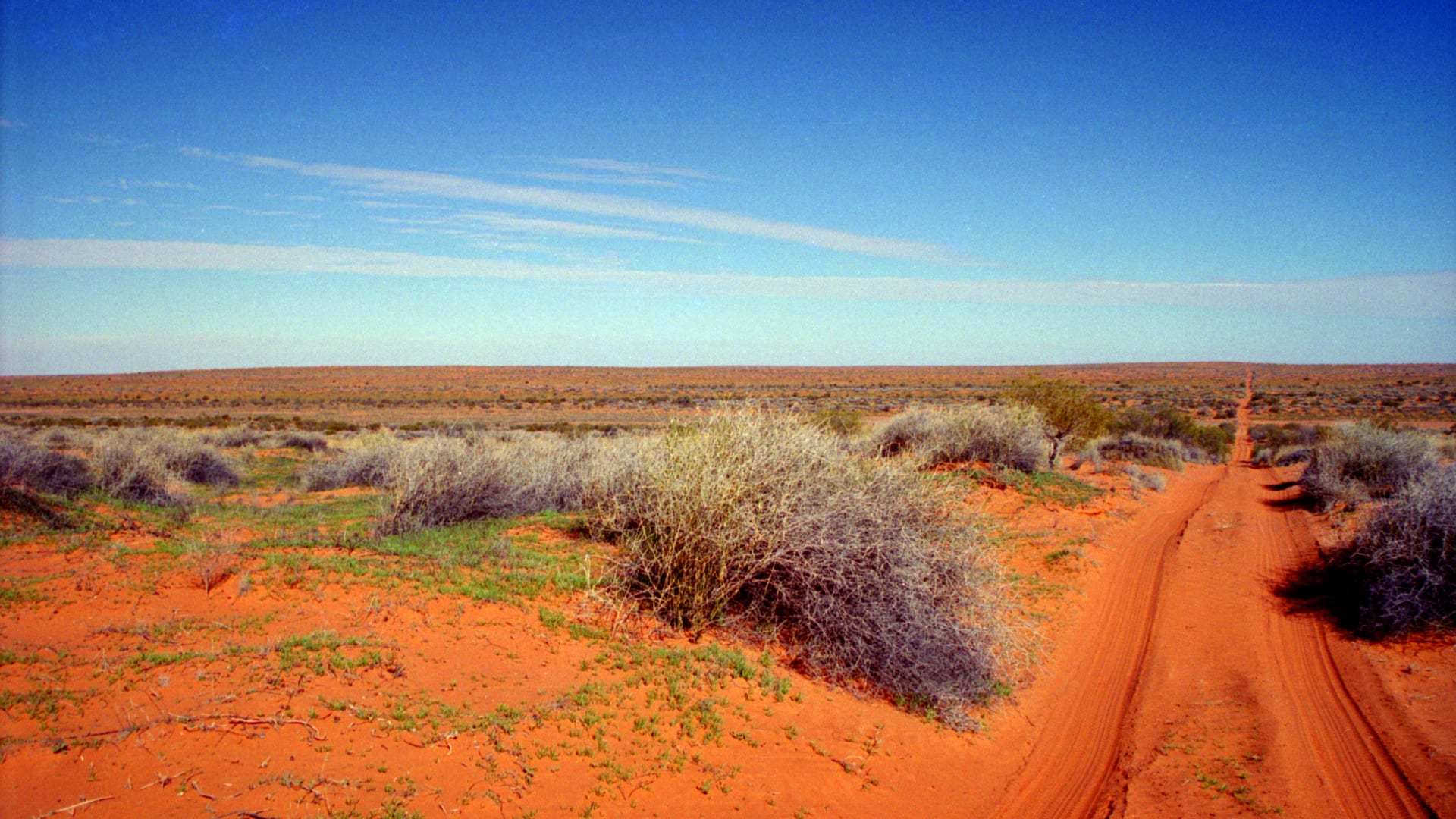 Visit Australia for: Simpson Desert Brush and road stretching into the distance