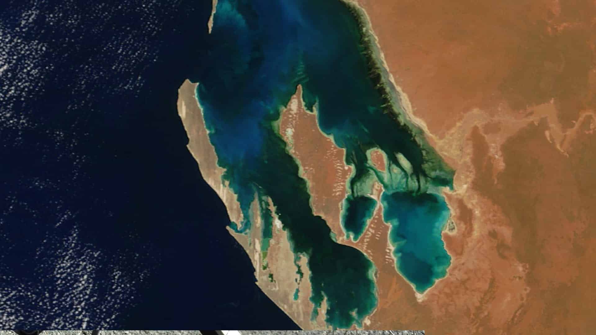 Visit Australia for: W shape of Shark Bay from the air
