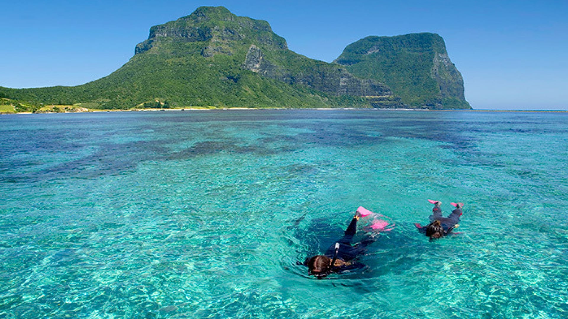 Snorkelling around Lord Howe island