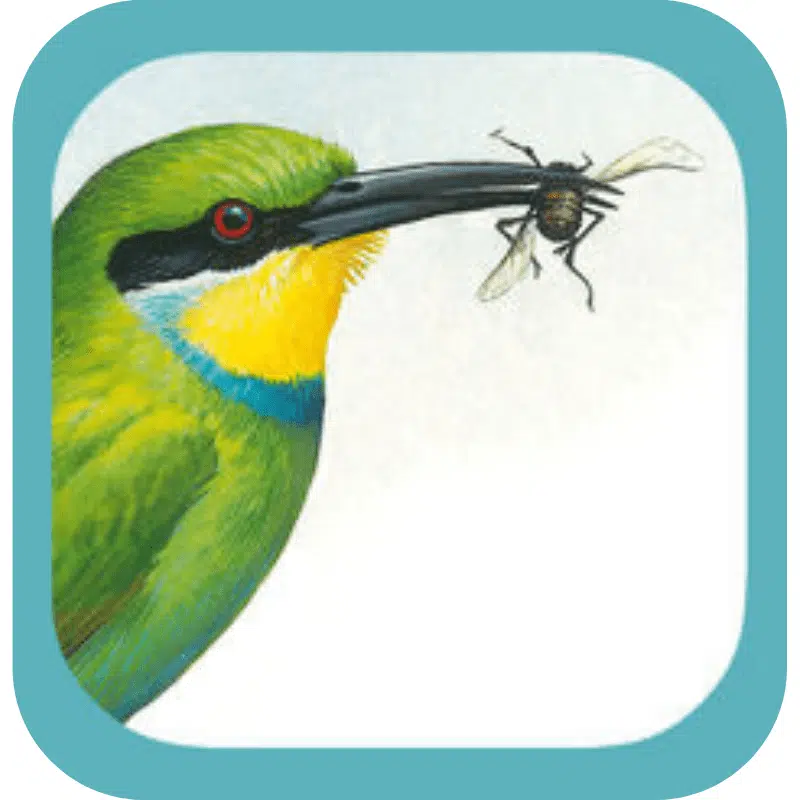 Sasol birding guide icon
