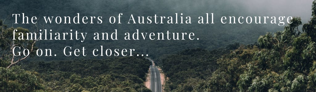 The wonders of Australia encourage familiarity and adventure. Go on. Get closer