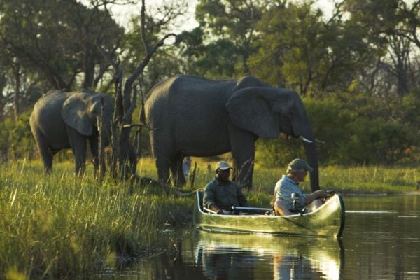 okavango delta family safari