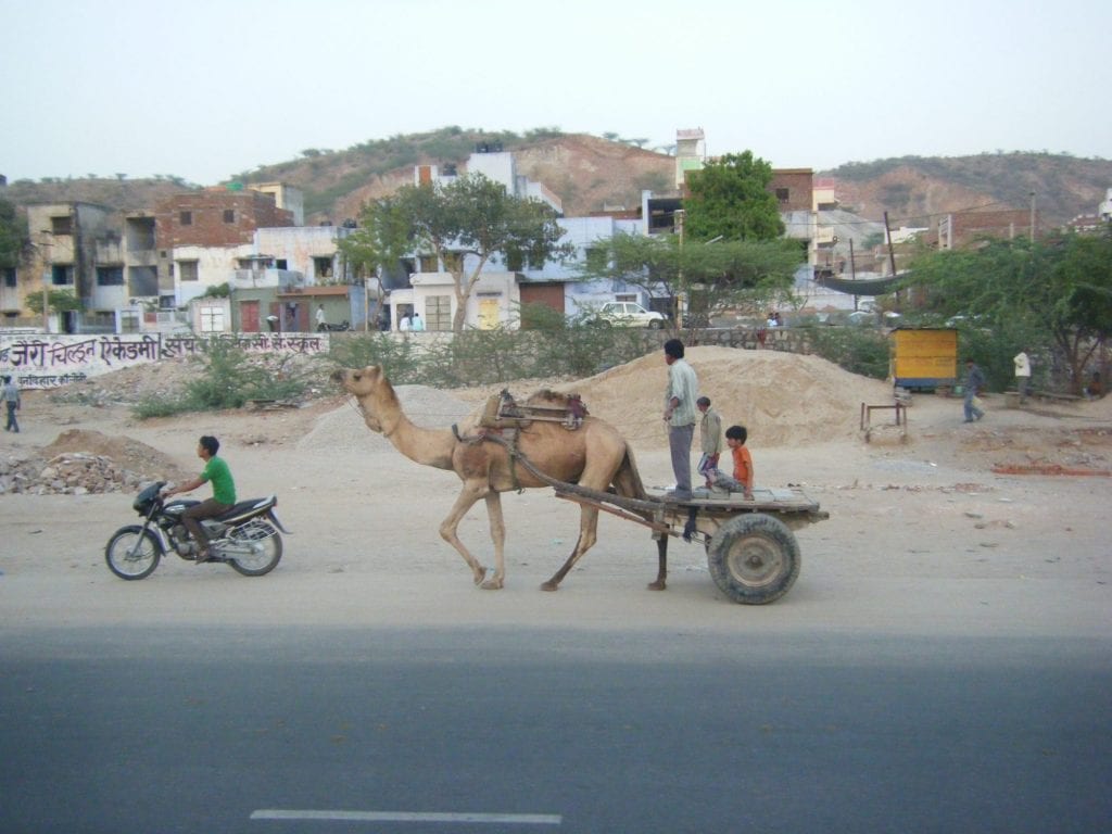 Camel cart from Jessica's India Safari