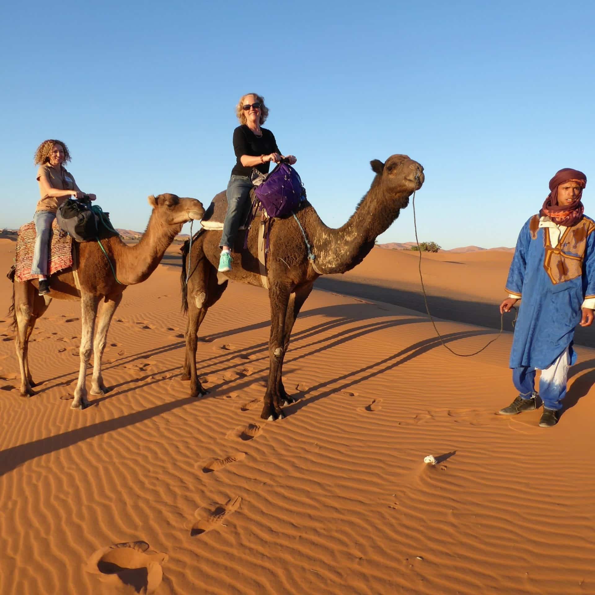 Camel_culture_morocco