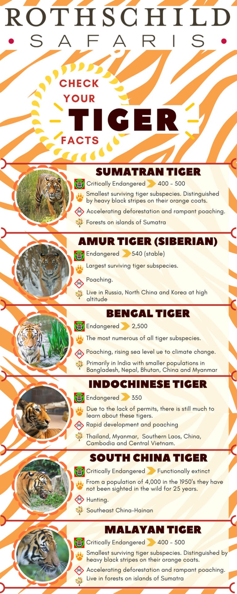 The state of Tiger Conservation