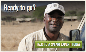 Take to a safari expert today