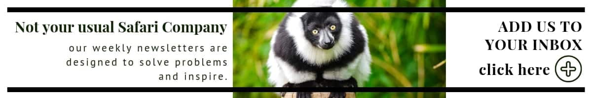 SIGN UP WITH LEMUR