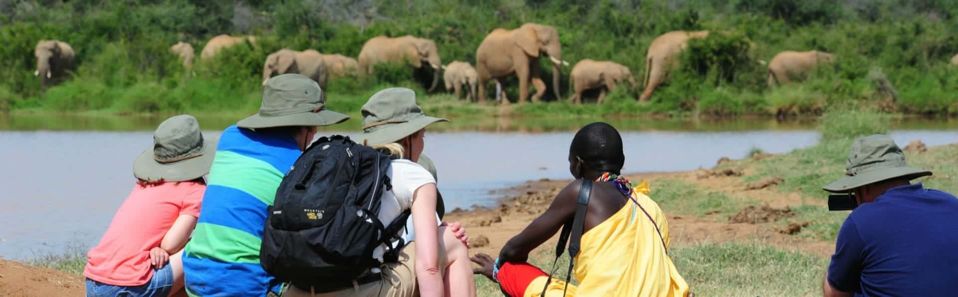 Karisia elephants on walking safari