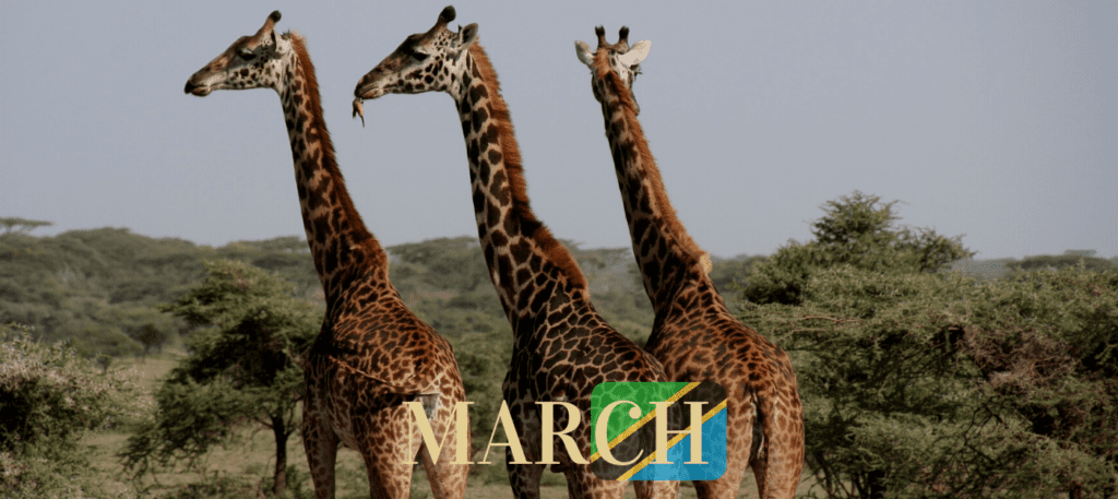 tanzania in march