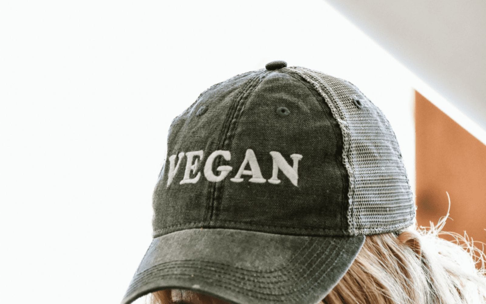 Insider's Guide To Being Vegan On Safari (9)