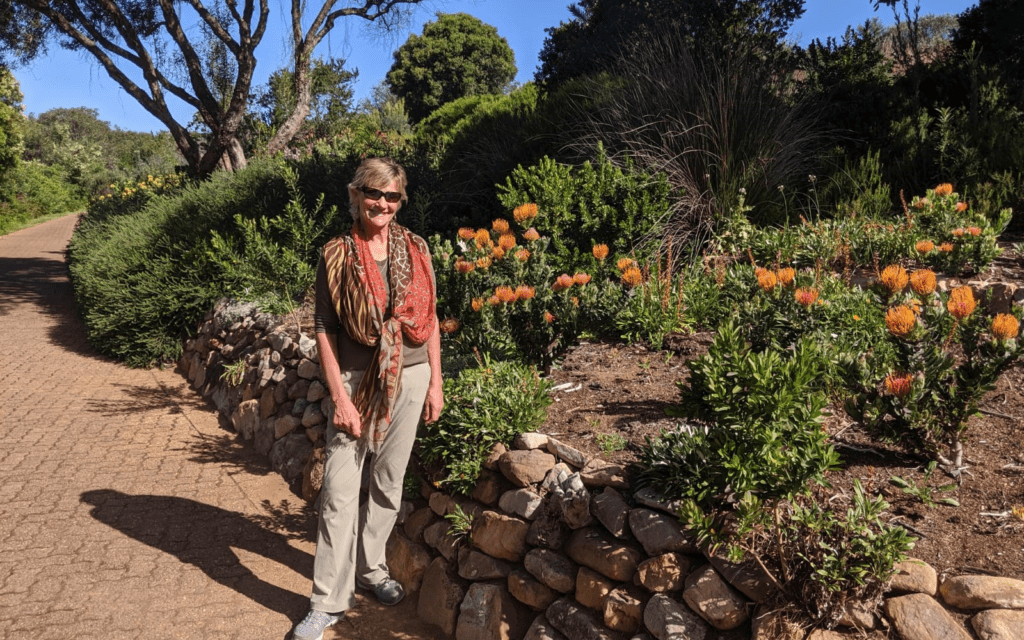 Kirstenbosch Gardens South Africa