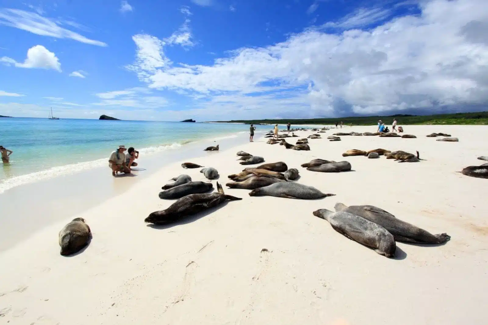 can you visit galapagos islands
