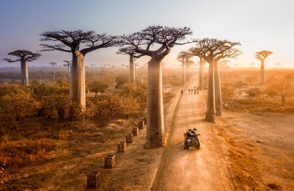 Rothschild Madagascar safari