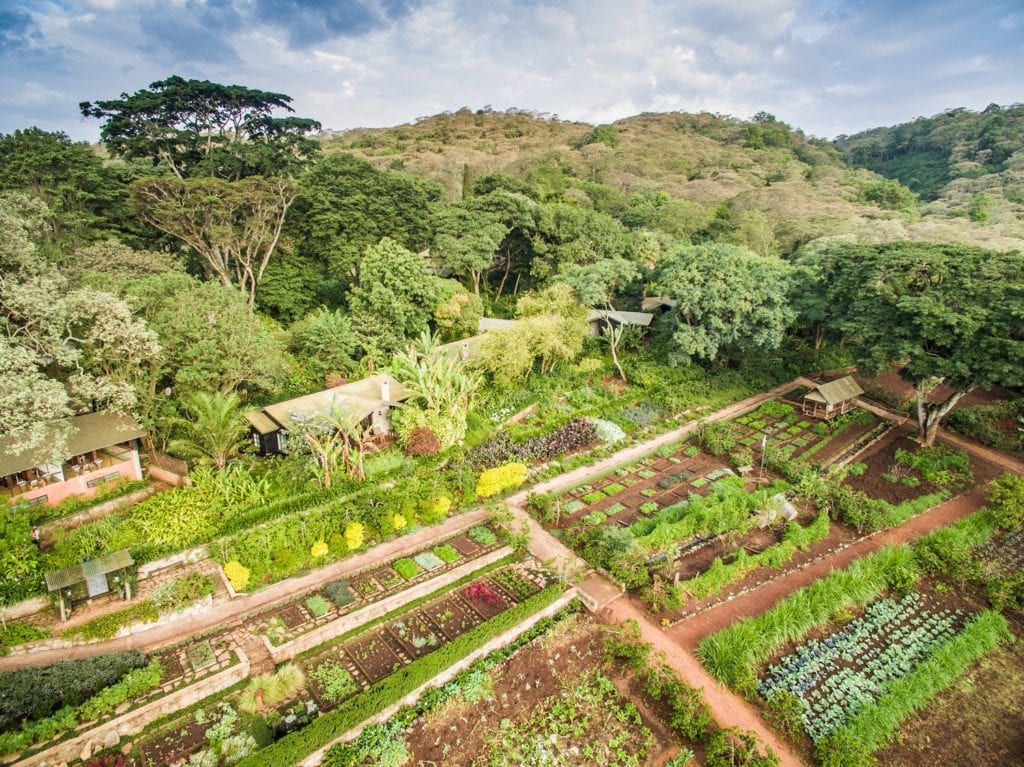 Gibbs Farm Tanzania