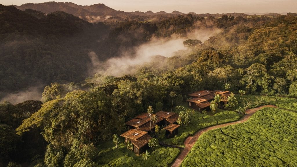 Drone image of Nyungwe house