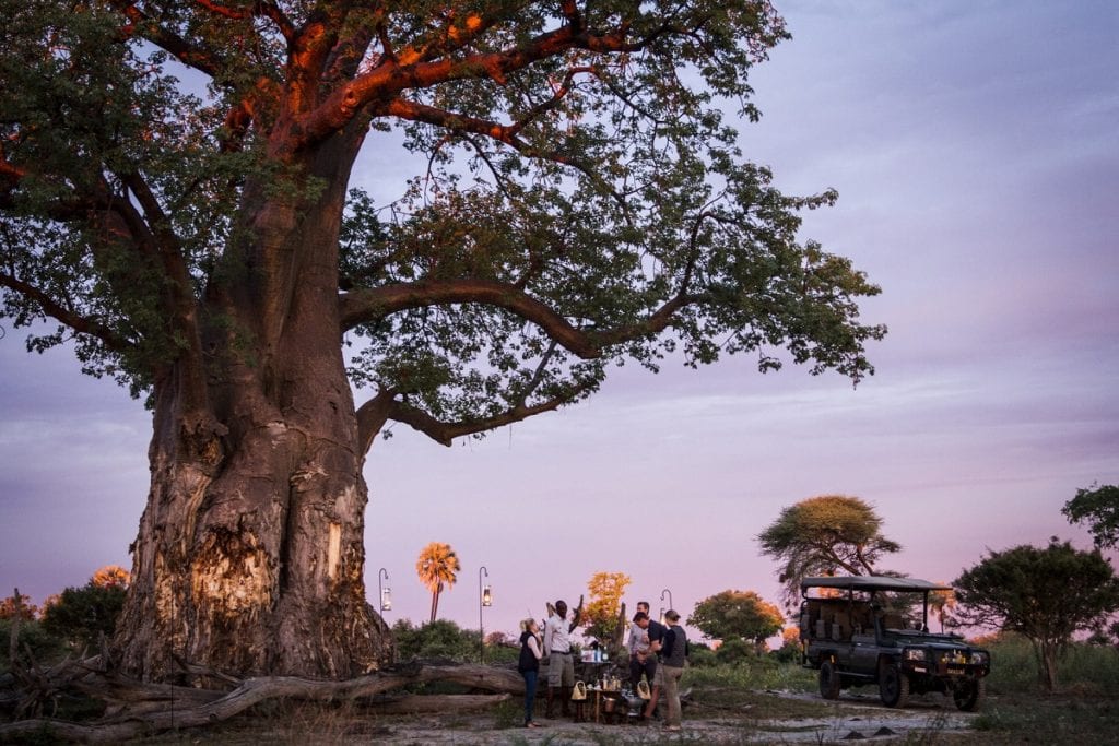 Sundowner Drinks At Baobab Bob, Mombo, Botswana