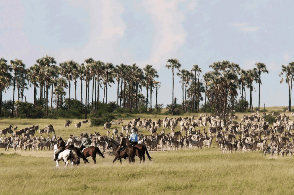 Africa Horseback Safaris 