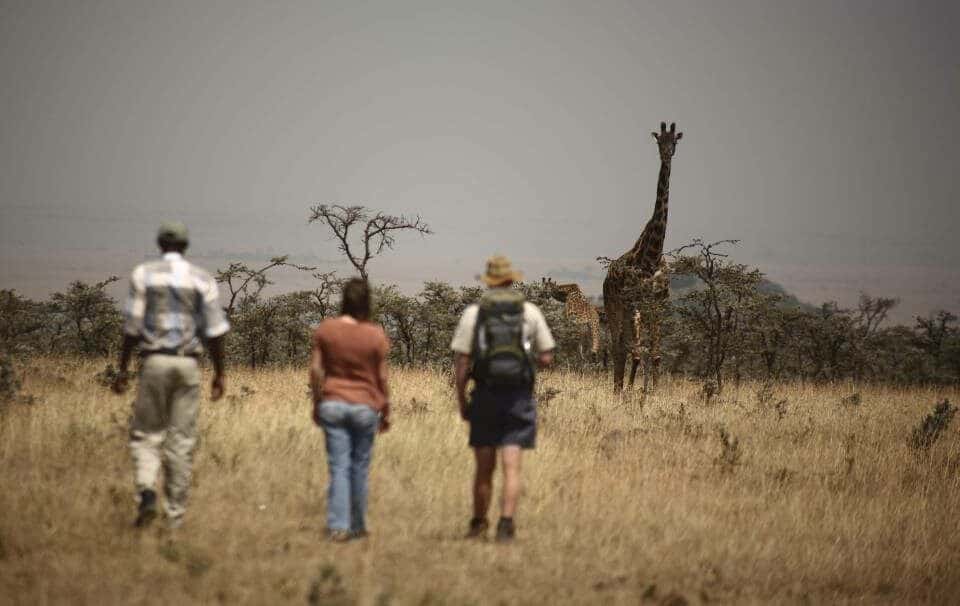 Walking Safaris & Adventures