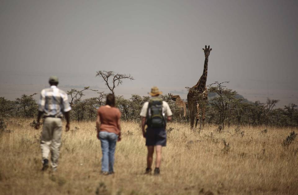 Walking Safaris & Adventures