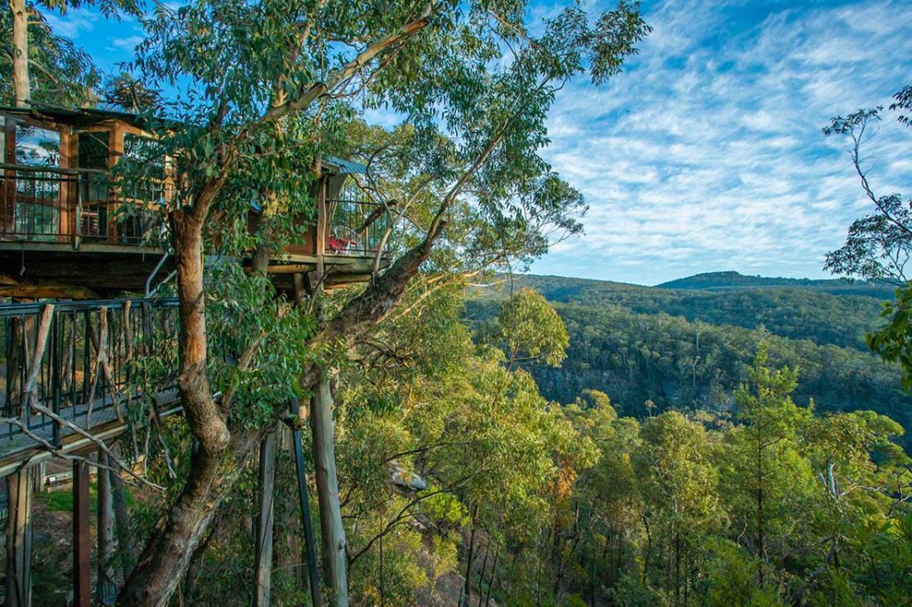 Wollemi Wilderness Treehouse2