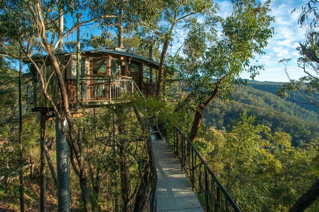 Wollemi Wilderness Treehouse3