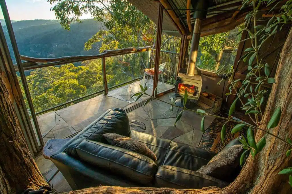 Wollemi Wilderness Treehouse5