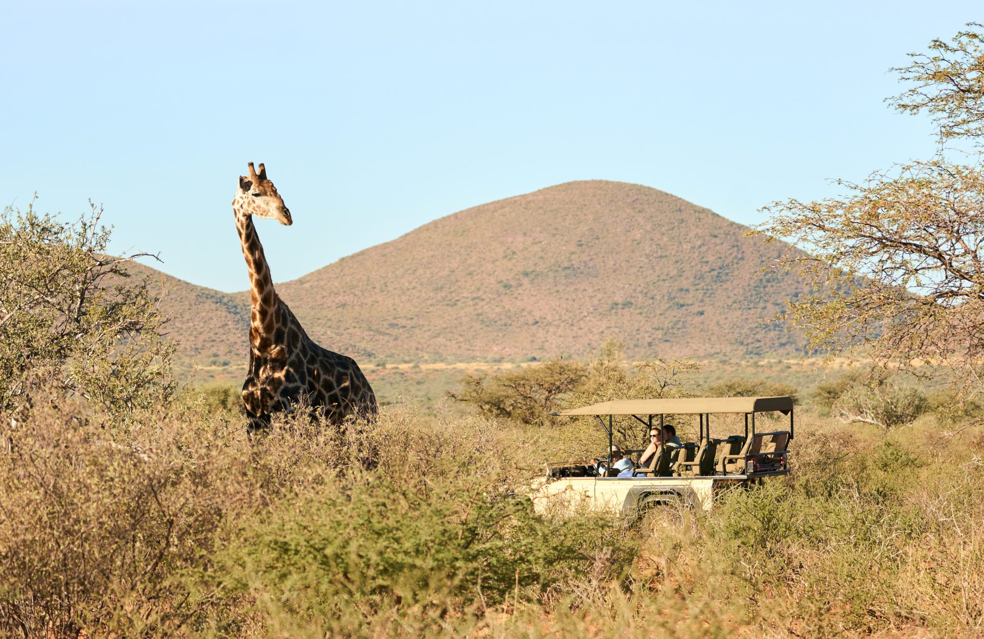 Tswalu kalahari safari