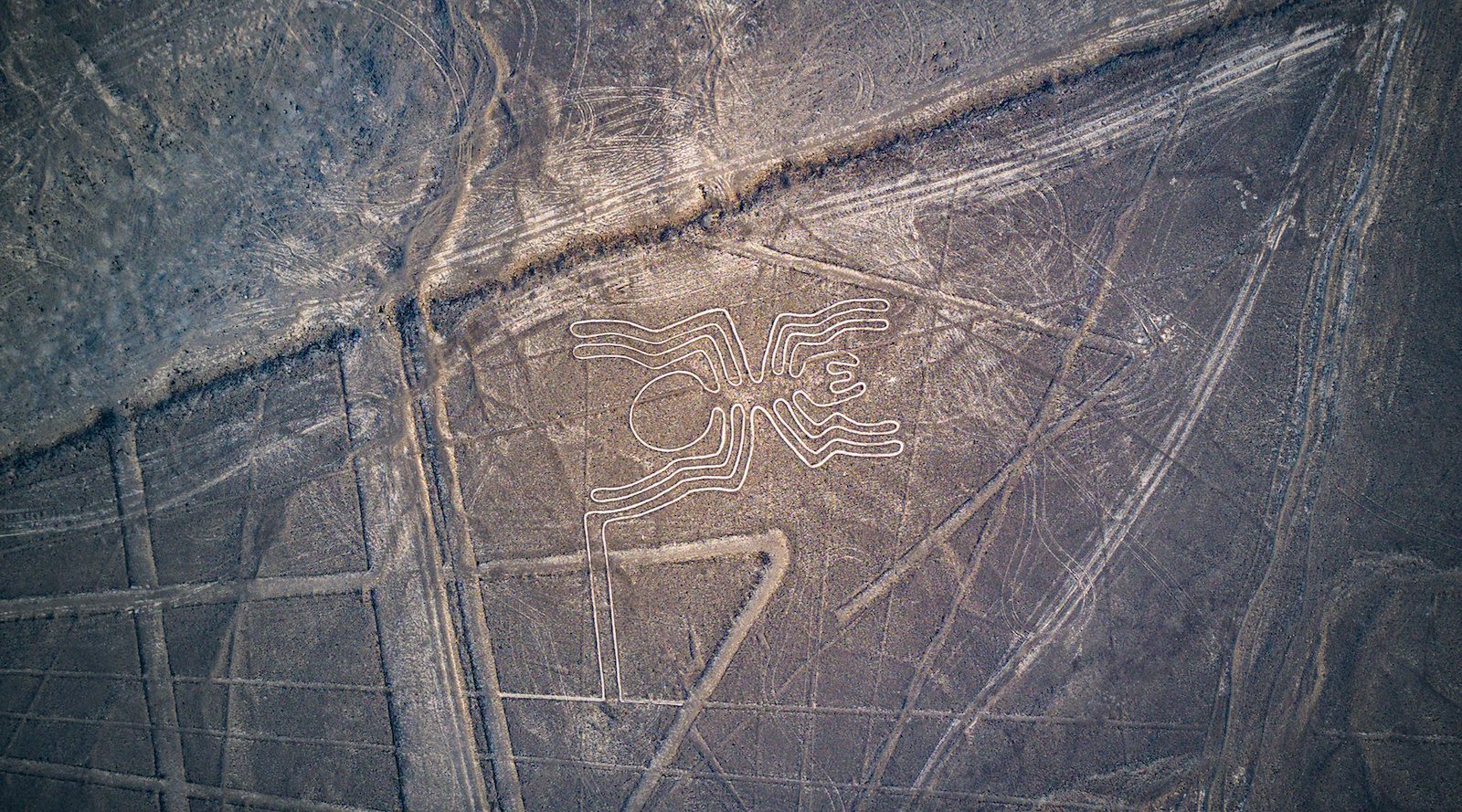 Nazca Line