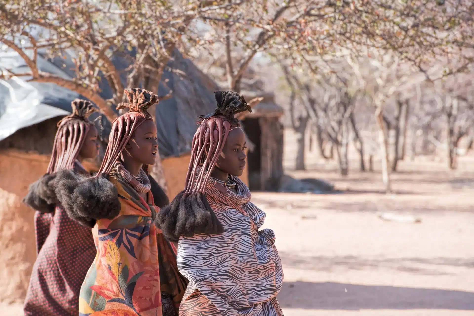Himba Village In Namibia