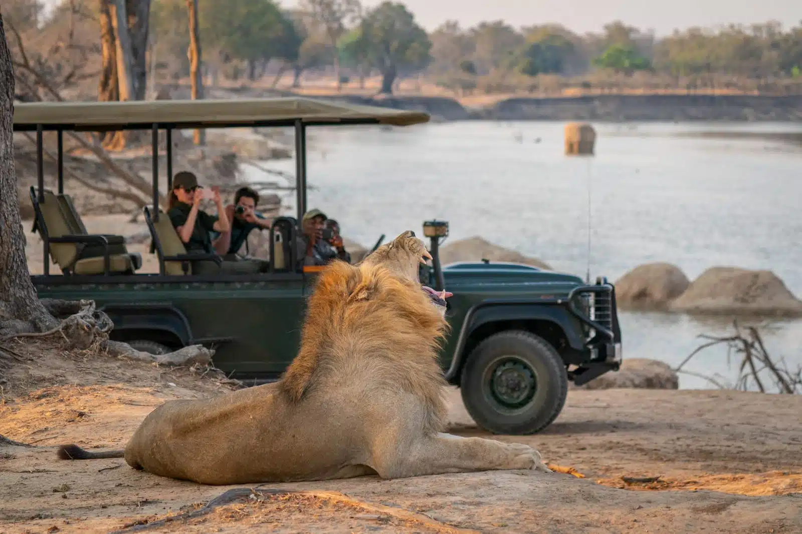 luxury Zambia safari