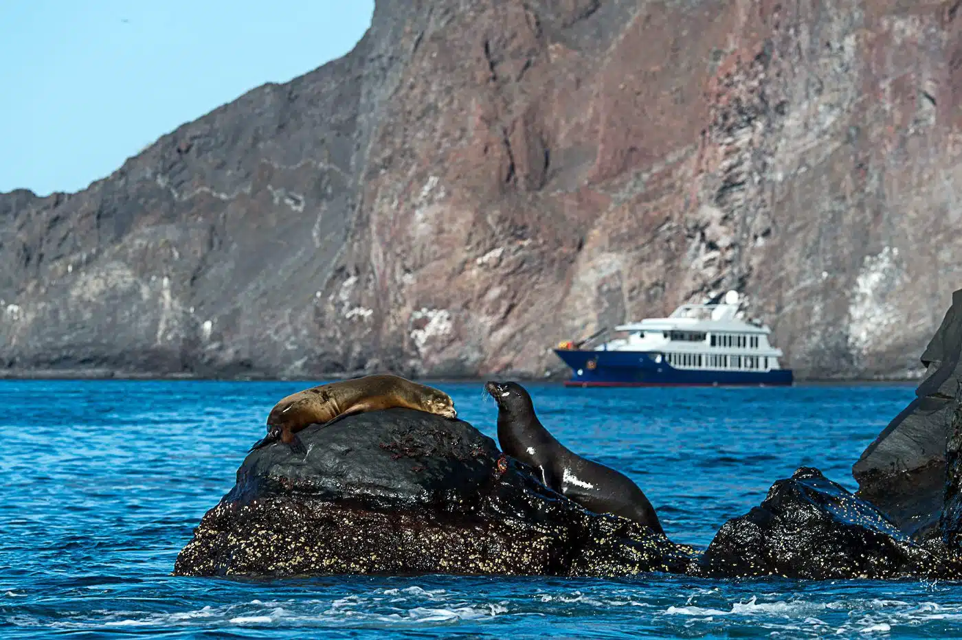 Luxury Galapagos Cruise15