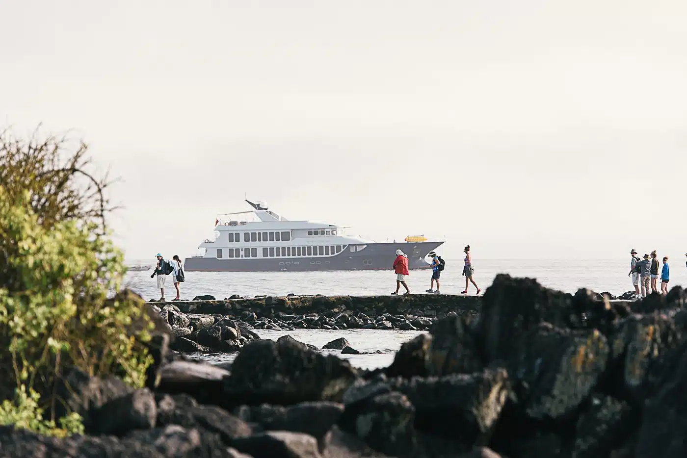 Luxury Galapagos Cruise8