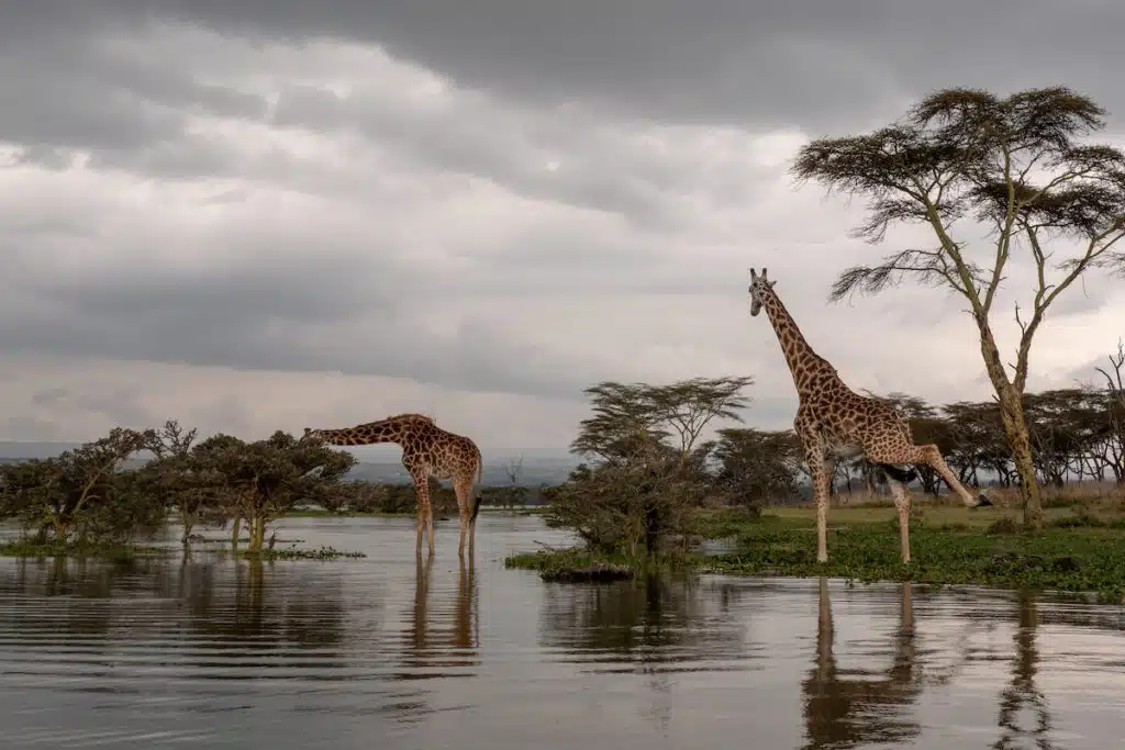 Lake Naivasha, Luxury Kenya Safari