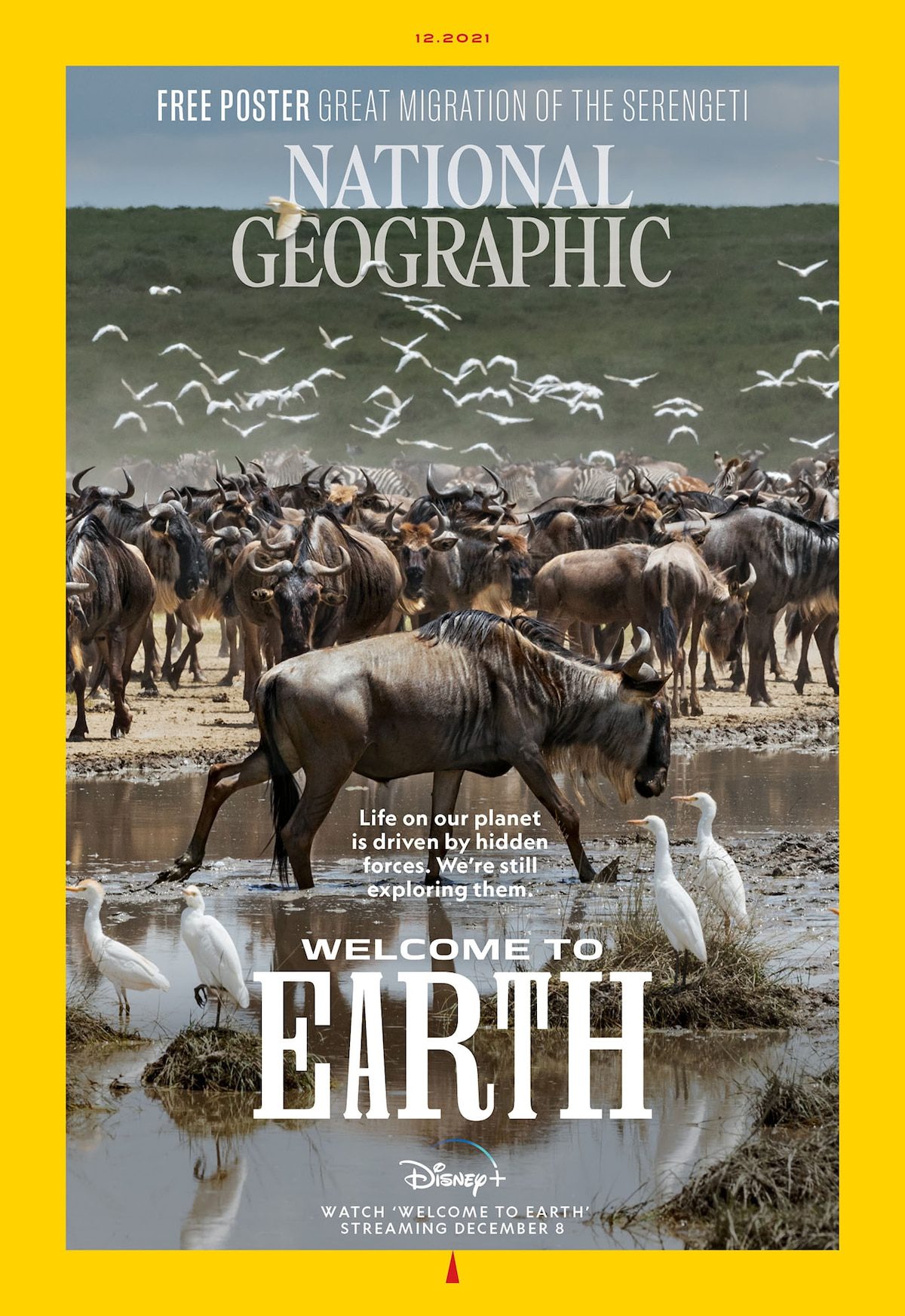 National Geographic Magazine December 2021 Welcome To Earth