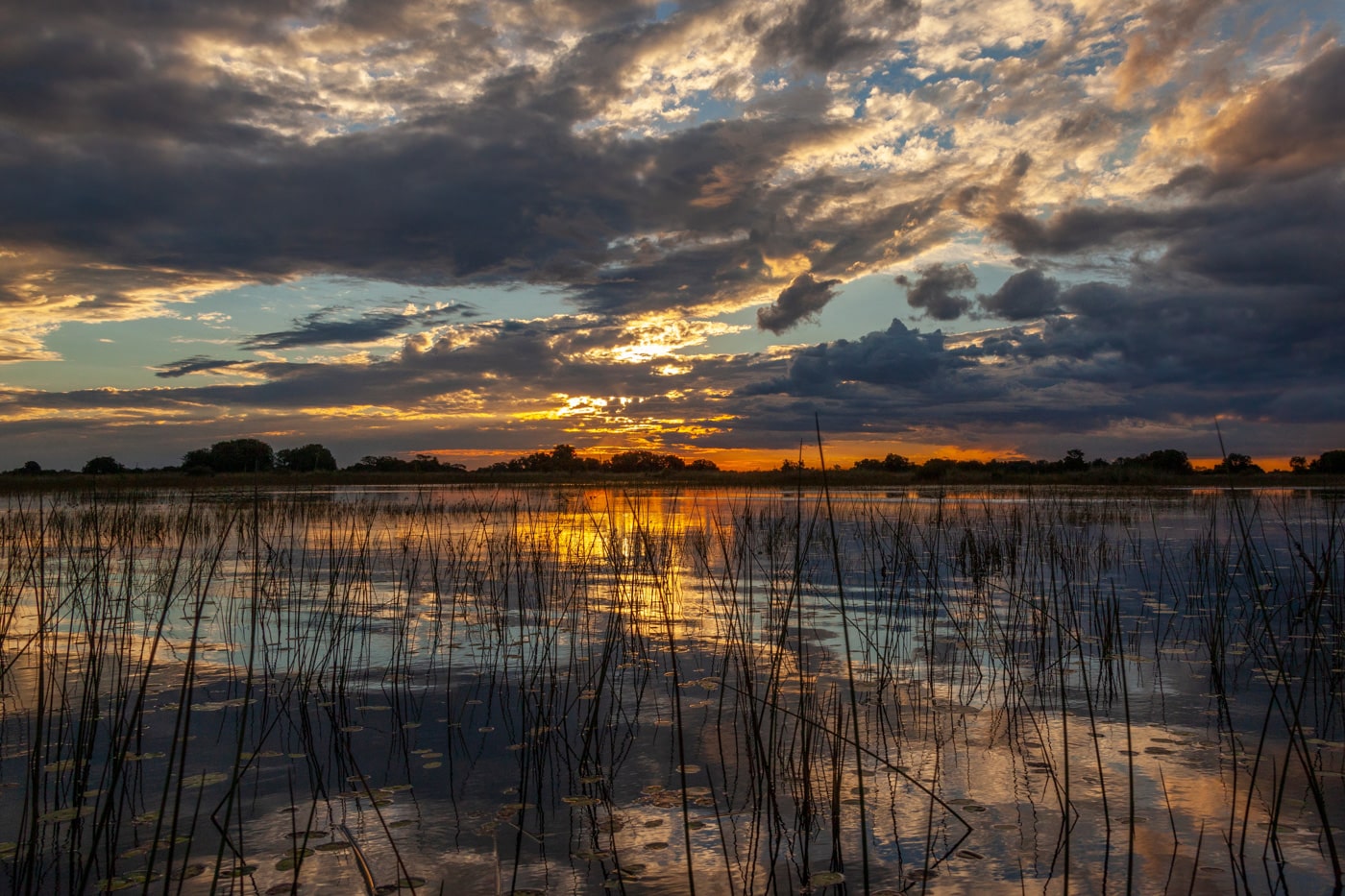 Sunset In The Wetlands Of The Okavango Delta Botswana