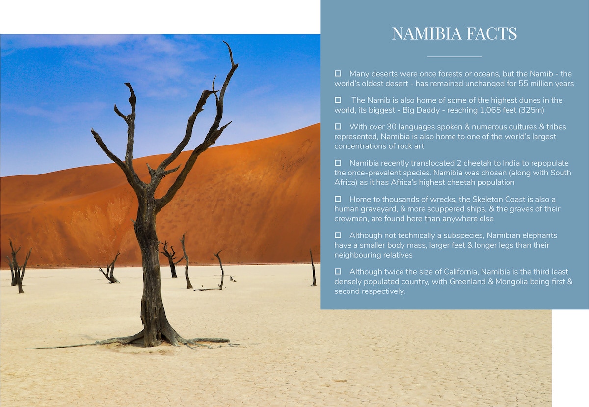 Namibia Facts, Namibia Safari