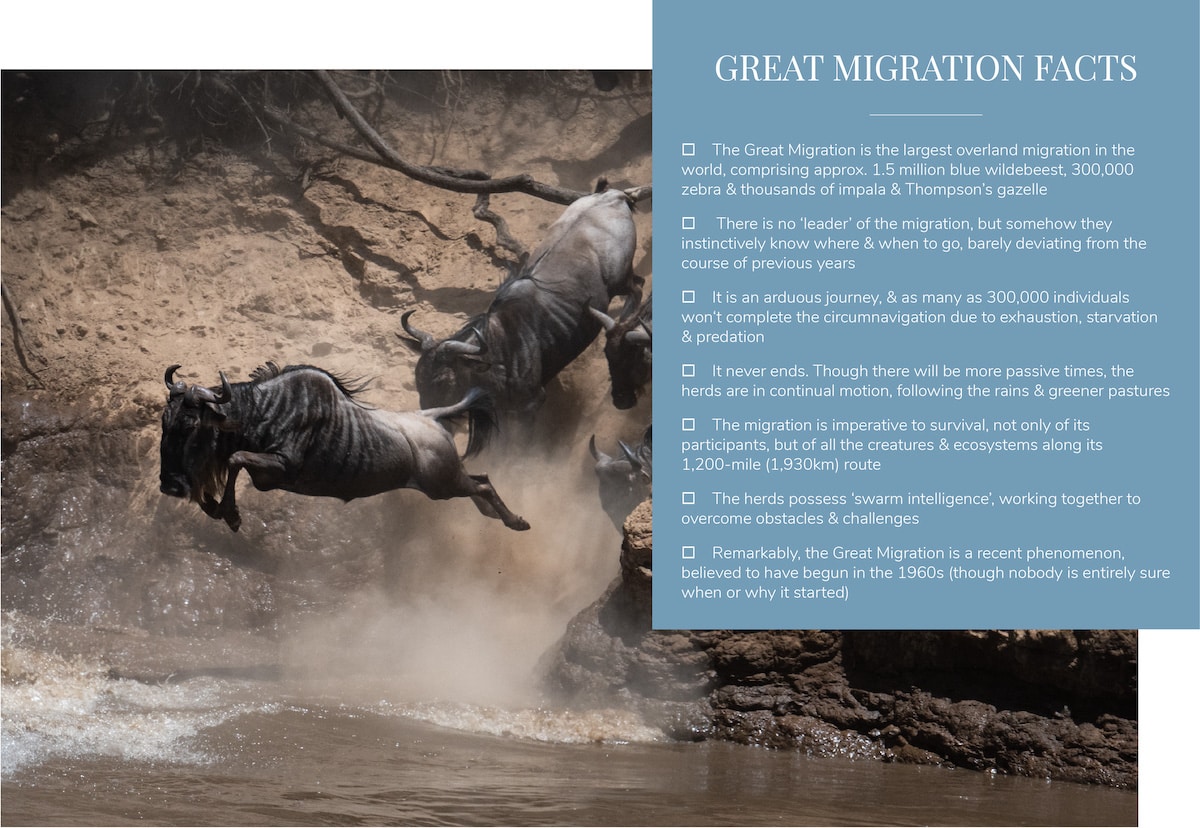 Great Migration Facts