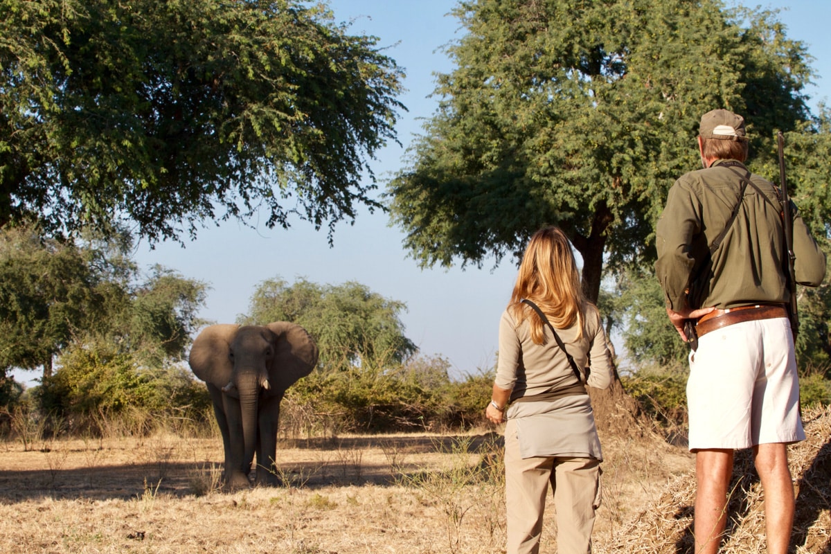 Booking a safari, Happy Travel Tips