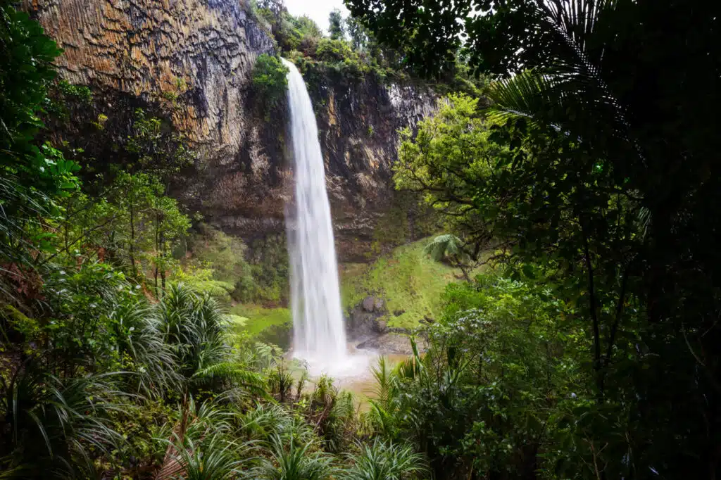 New Zealand Waterfall, Fiordland