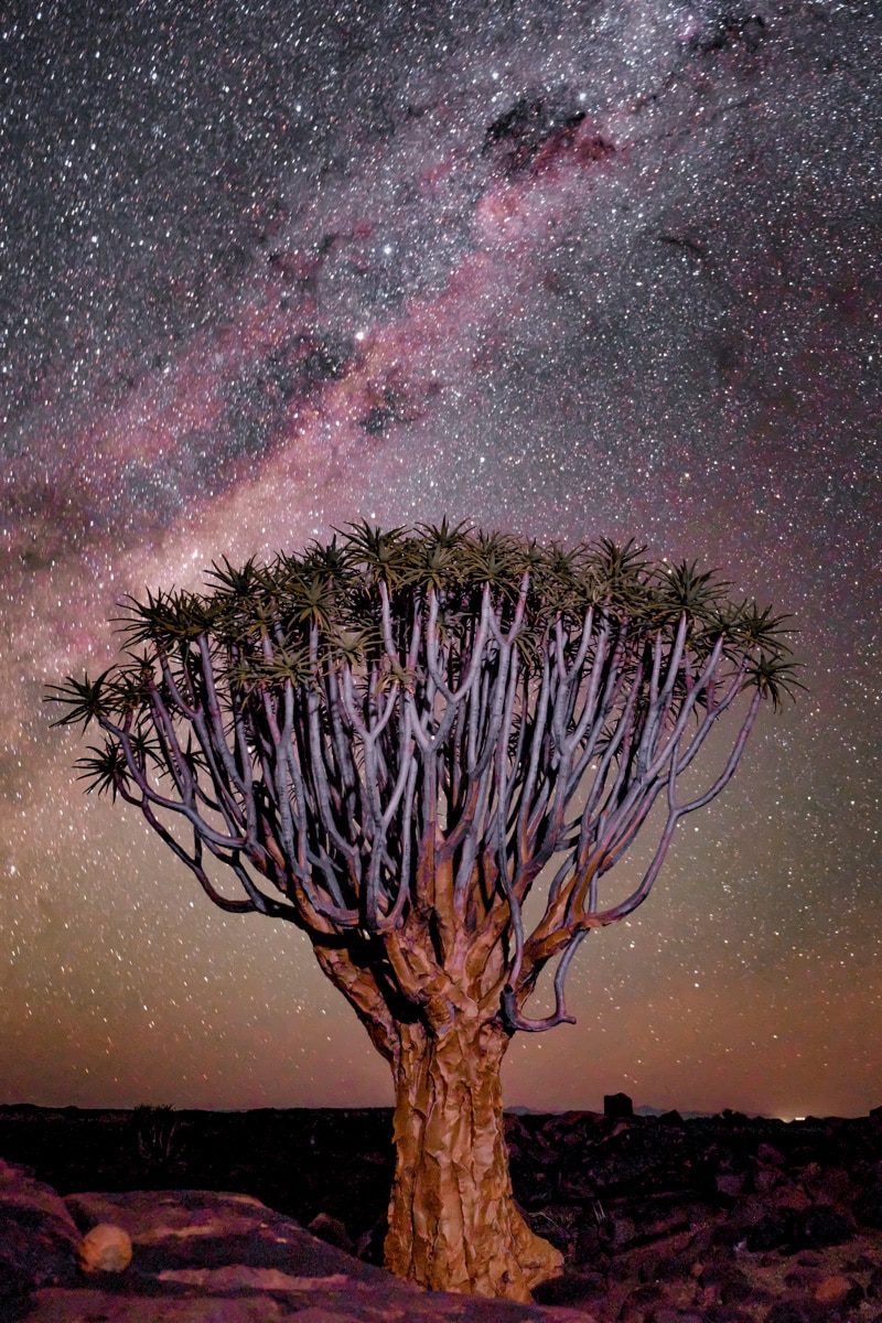 Sky Safari night sky, Namibia