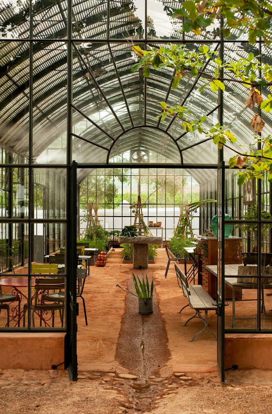 1.tearoom In Greenhouse
