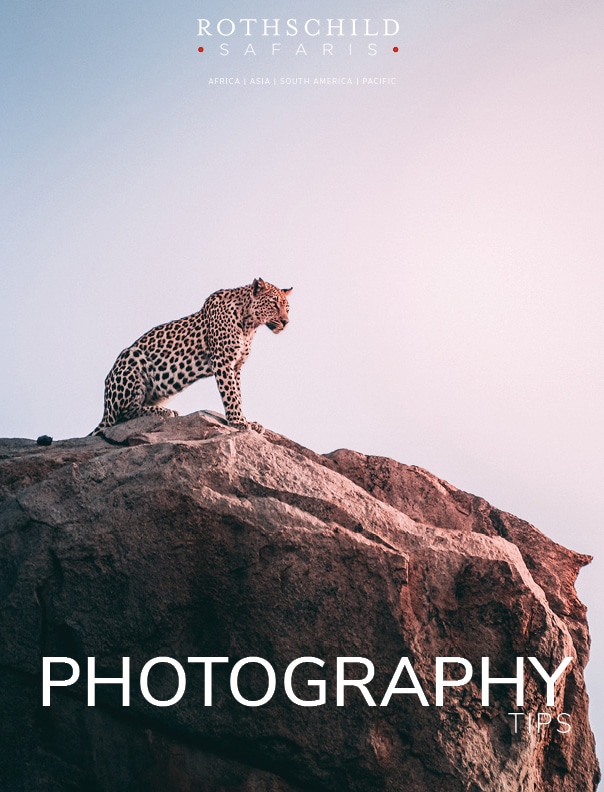 Photography Cover