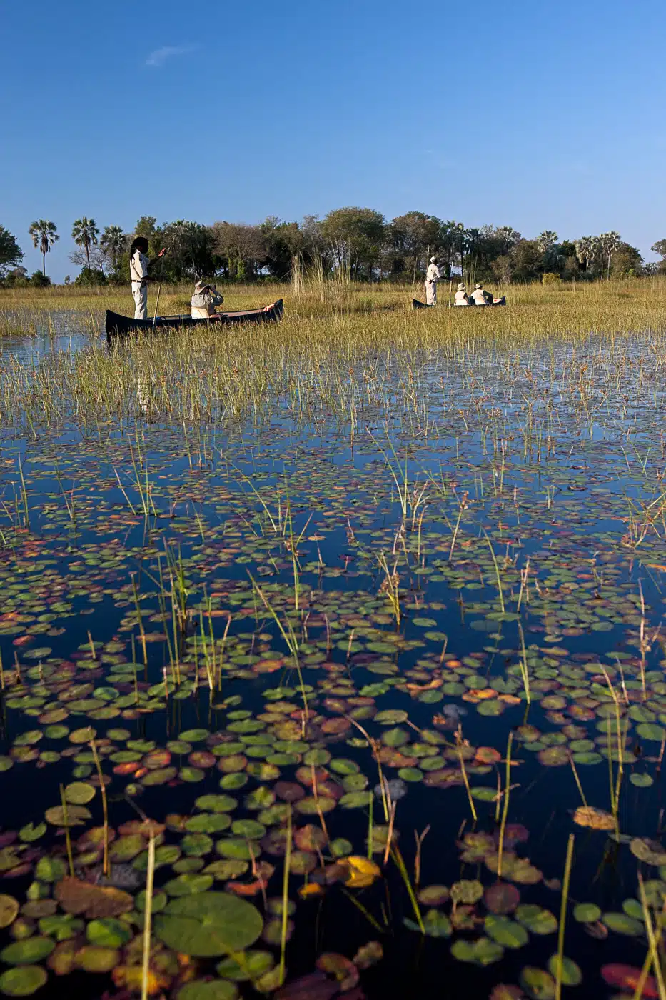 Okavango Delta In Botswana