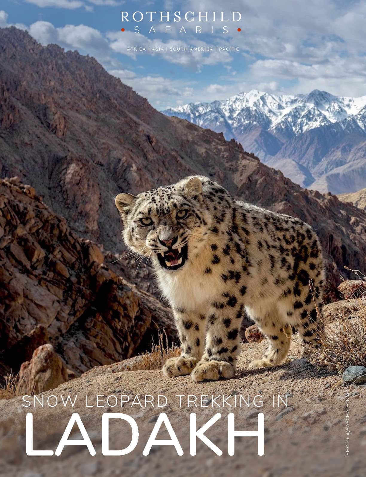 Snow Leopard Trekking Page 1