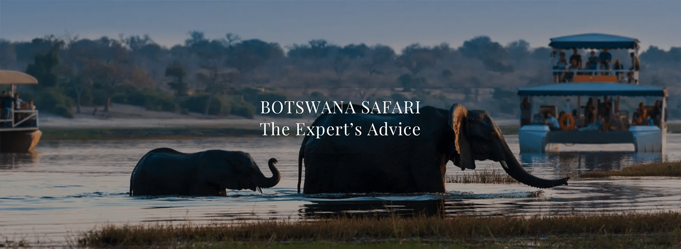Exclusive Botswana Safari