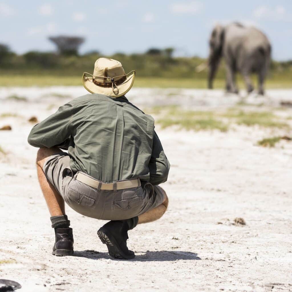 Safari Holiday,botswana,a Guide Crouching Close To An Elephant In Nxai Pan, Botswana