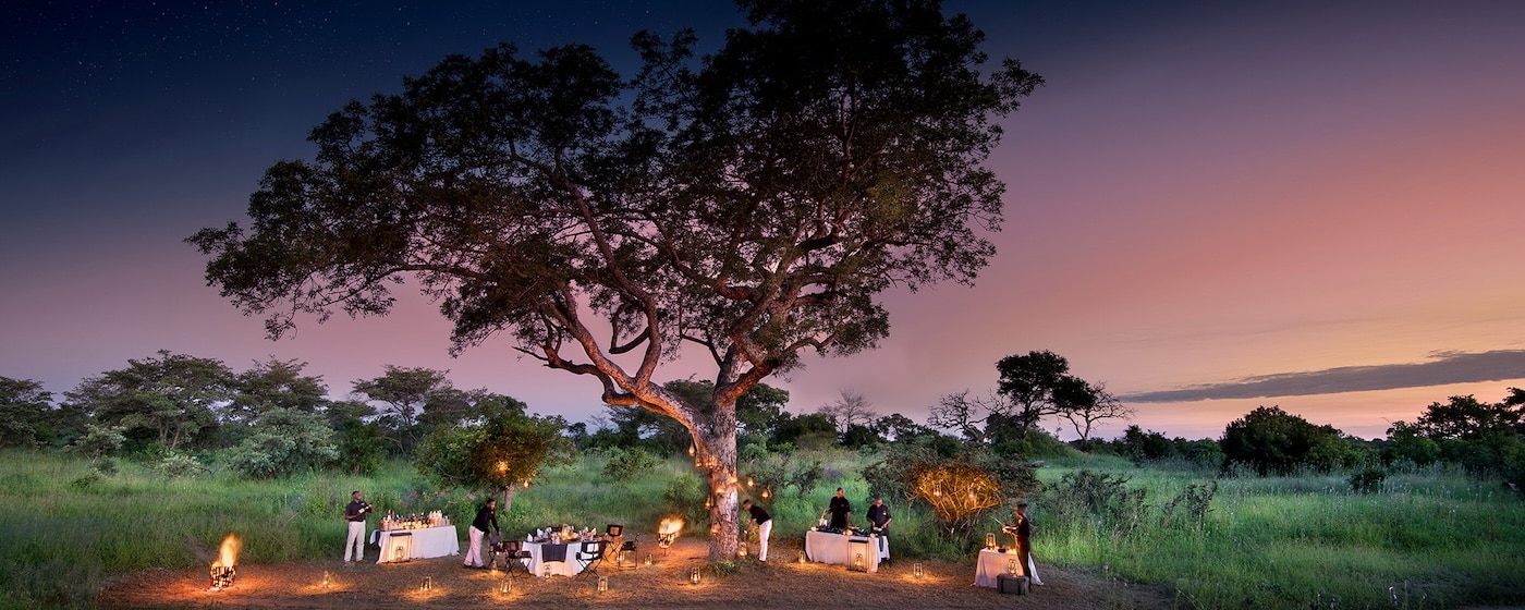Dining on Safari